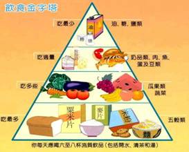 飲食金字塔